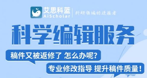 艾思編譯 一站式學(xué)術(shù)服務(wù)專家的卓越之旅