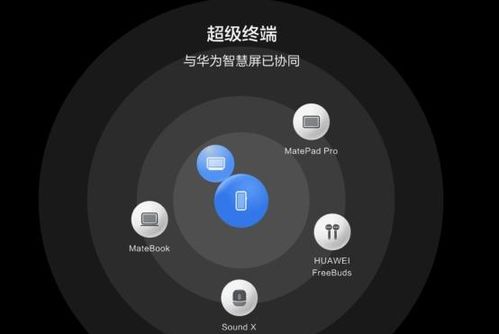 華為存儲擴容與鴻蒙升級 讓老機型“再一次心動”